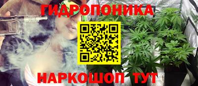 гидра Кинель