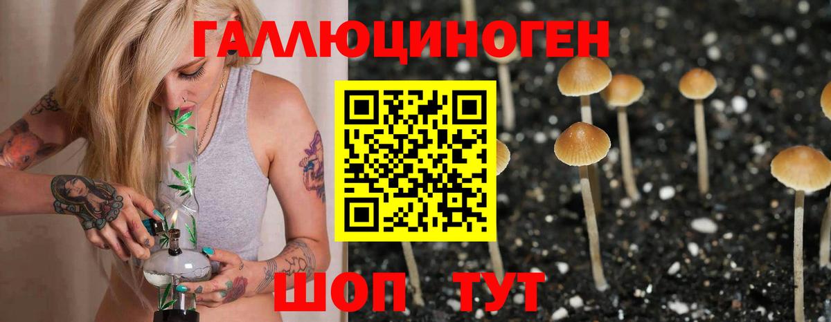 Псилоцибиновые грибы GOLDEN TEACHER  Вход с VPN  Галлюциногенные грибы Psilocybe  Барабинск 